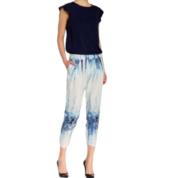 PARKER Mid-Rise Pleat Front Slim Cut Crop Ruch Leg Print Devlin Pants, RIPA,  6 - Picture 6 of 6